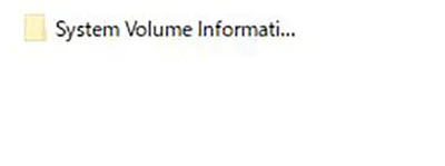 System Volume Informationのファイル